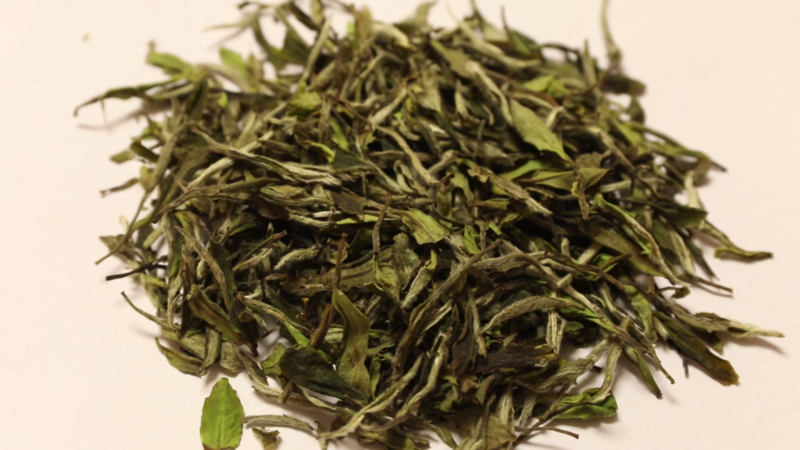 春波绿茶叶图片
